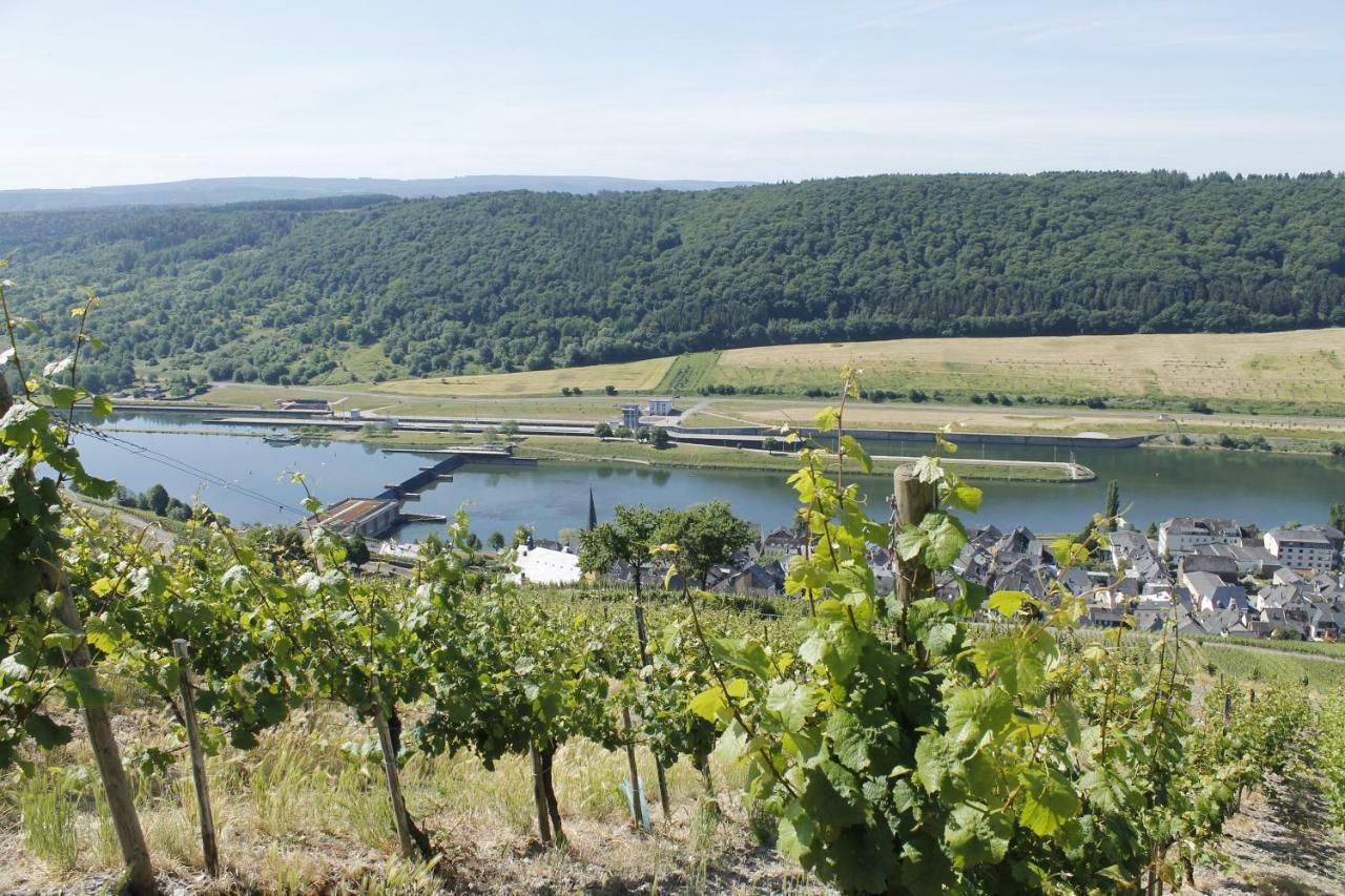 Ferienhaus Moselblick Mit Kostenfreien Oepnv-Ticket Ürzig Esterno foto