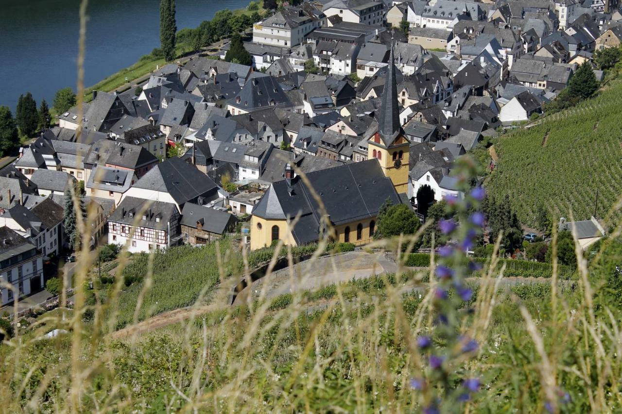 Ferienhaus Moselblick Mit Kostenfreien Oepnv-Ticket Ürzig Esterno foto