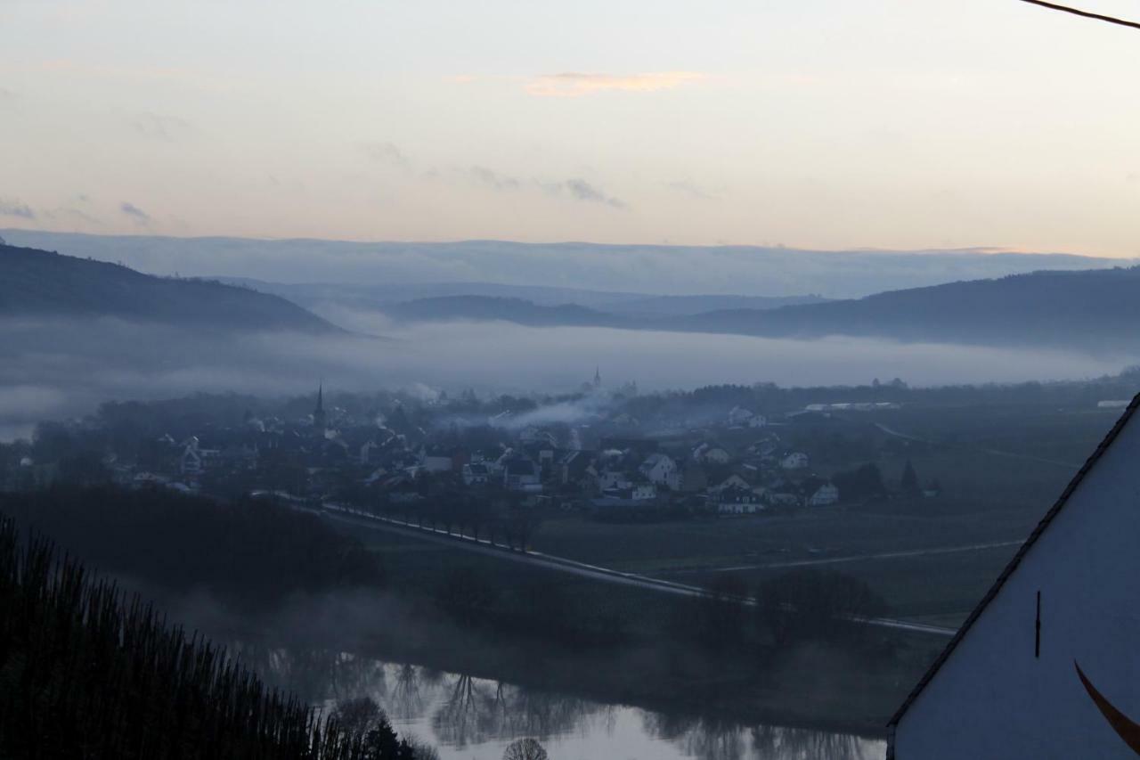 Ferienhaus Moselblick Mit Kostenfreien Oepnv-Ticket Ürzig Esterno foto